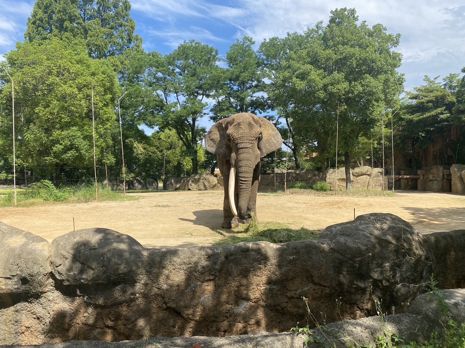 はじめまして、よろしくお願いいたします。