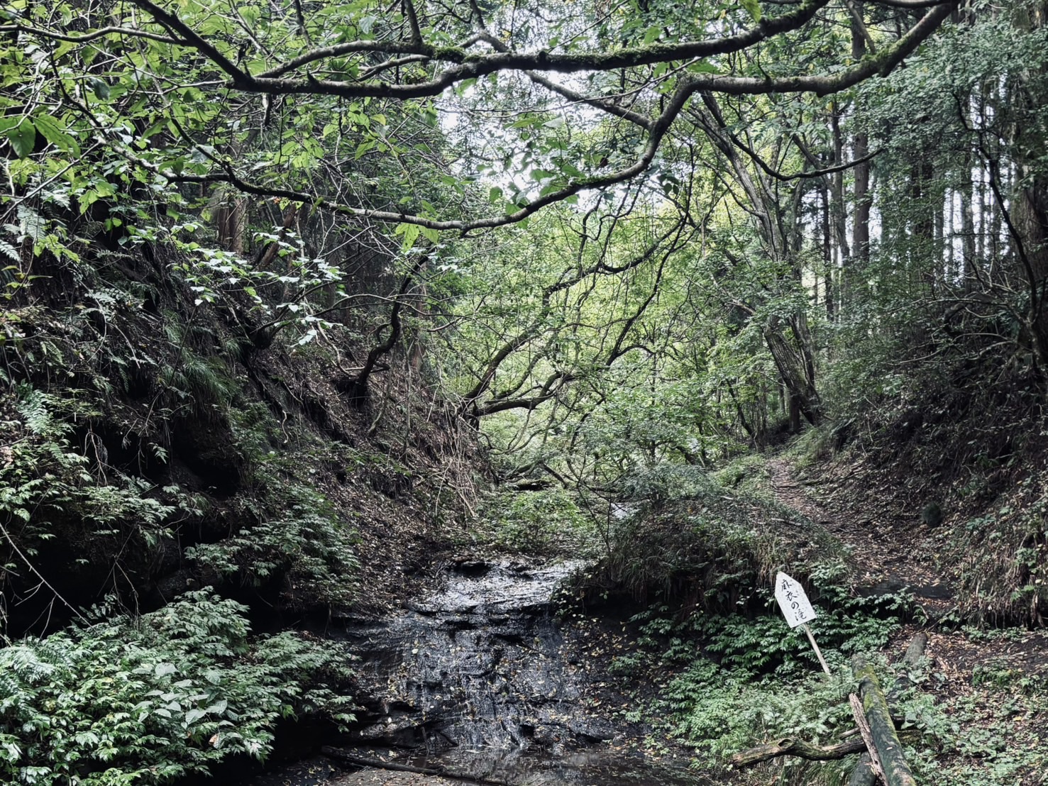 最近の休日は。