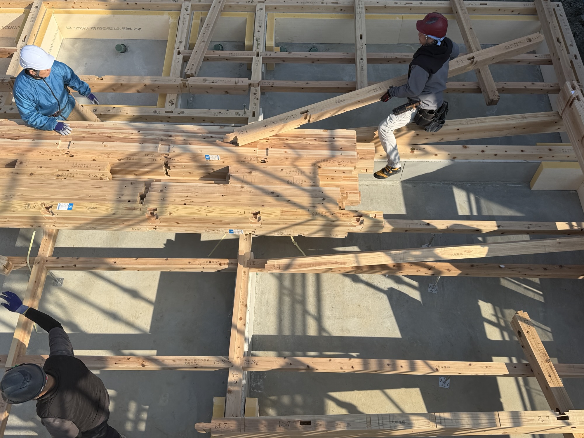 新しいねぐらをつくってます！