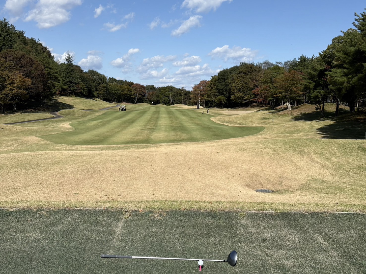 初コンペ挑戦！雨にも負けず（？）ゴルフ奮闘記⛳️